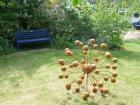 Giant Seed Head