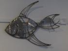 Angel fish
